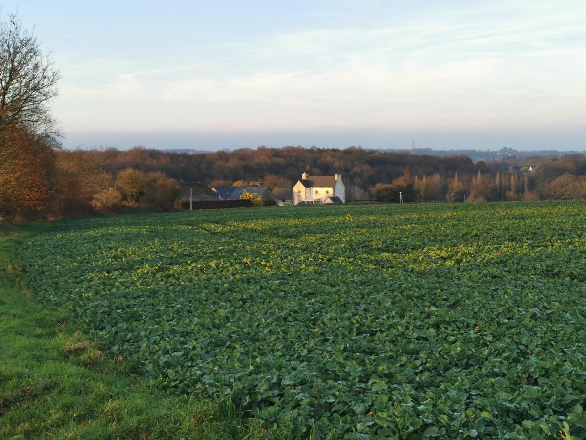 Les Gites De L'Hermine Plouigneau Luaran gambar